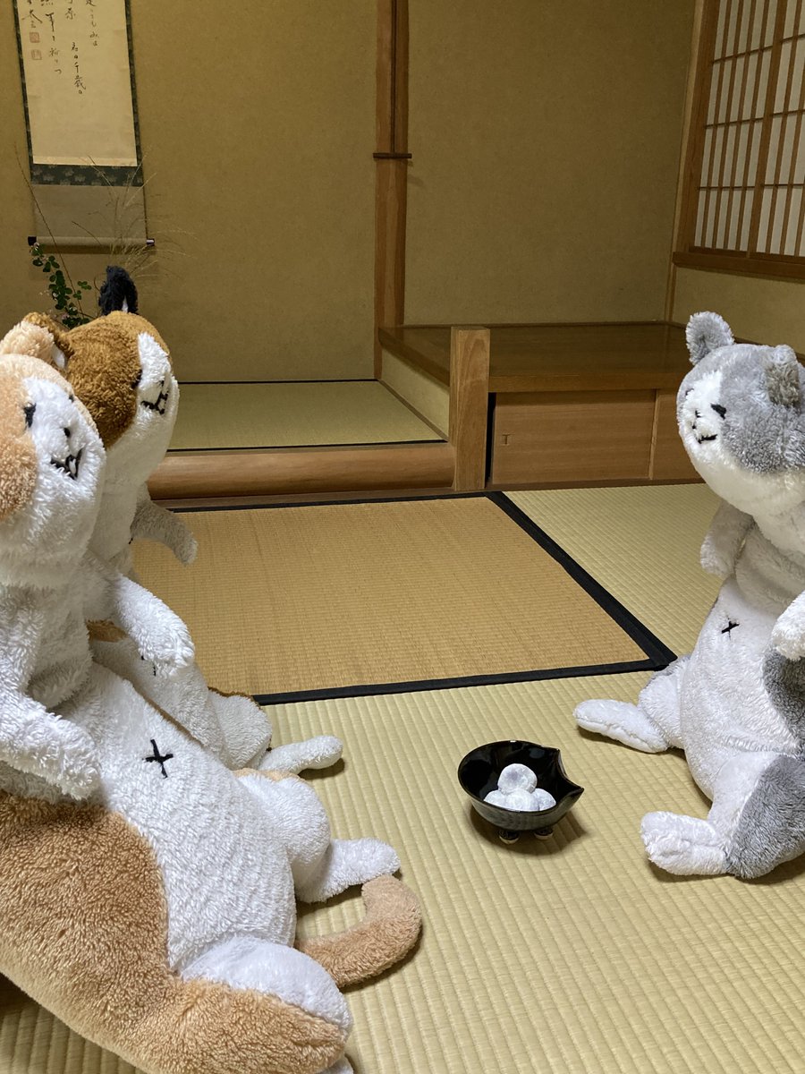 にゃん太添い寝ぬいぐるみ にゃん太添い寝ぬいぐるみ