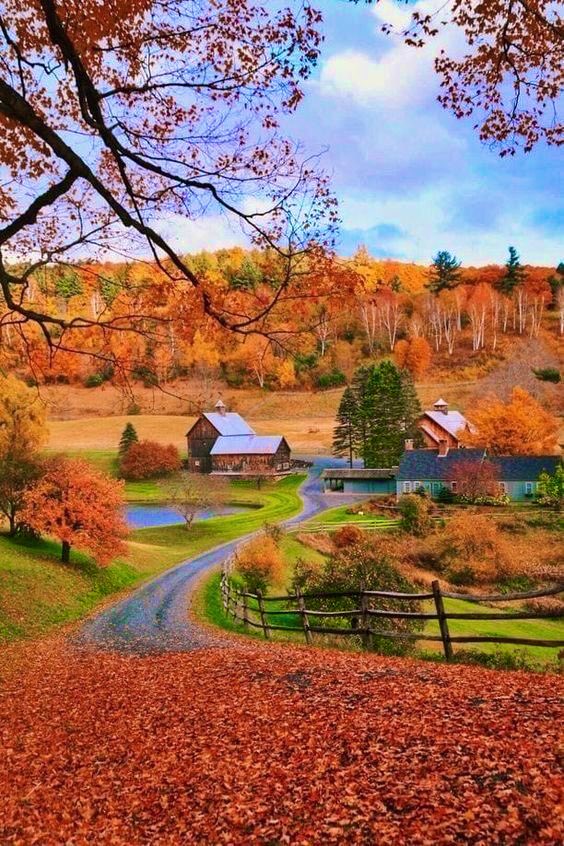 ApolloVentuno's tweet photo. È arrivato l’autunno 🧡☀️🍂🍁 https://t.co/Rm4de5nPmc