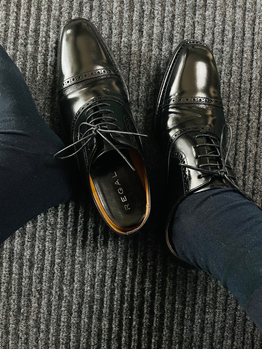 狗儿说，想舔。