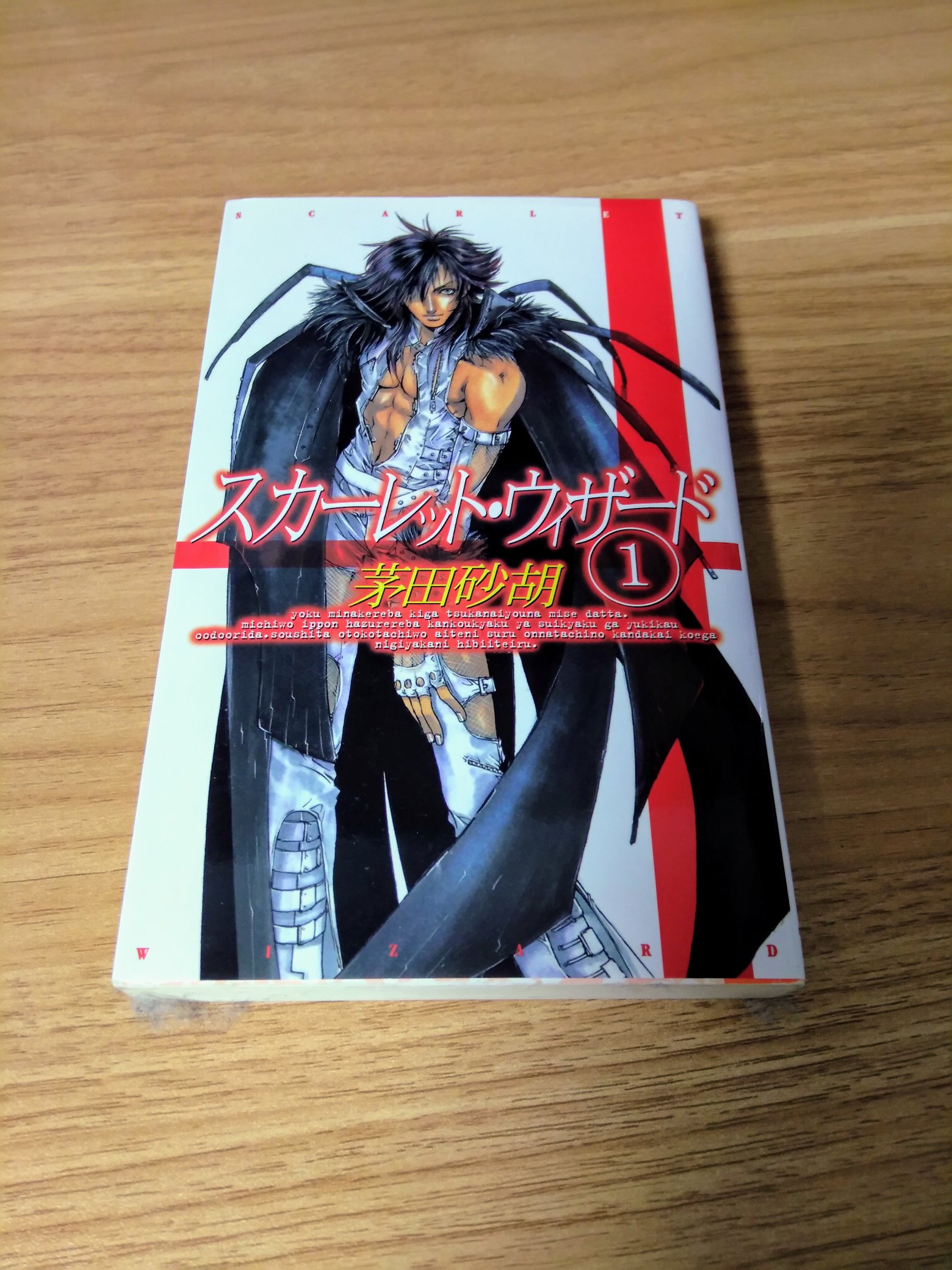 蜂月 六角えんぴつ 鬼影スパナ 絶対に働きたくないダンジョンマスターが惰眠をむさぼるまで 通称だんぼる 主人公一党の拡大再生産ぶりが楽しい 安心してするする読めるなろう小説 キャラが男女共に可愛くて好き 漫画も面白くて買ってます T