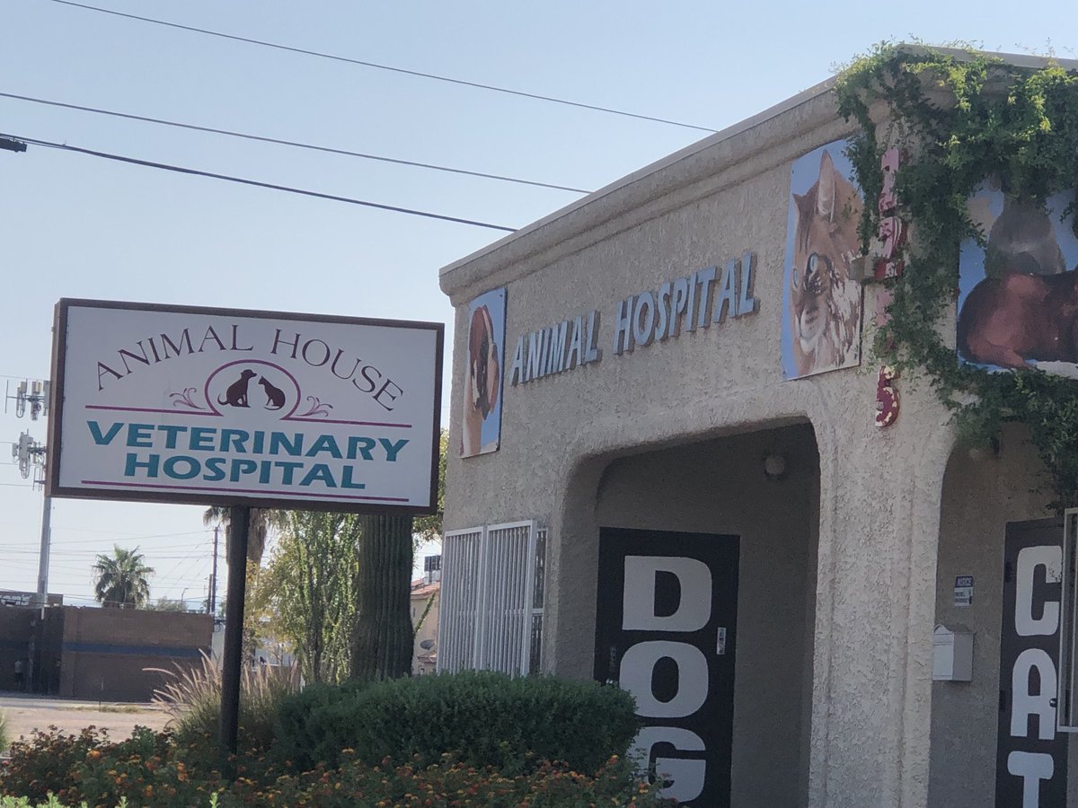 g_knapp's tweet image. I’d like to hear from local pet owners familiar with  this clinic. We took a young, healthy, much-loved rescue kitty in for  routine spay and vaxx. The next day, I picked up her lifeless body. Vet has no idea why she died. Our hearts are crushed. I’m gathering info, pro or con.