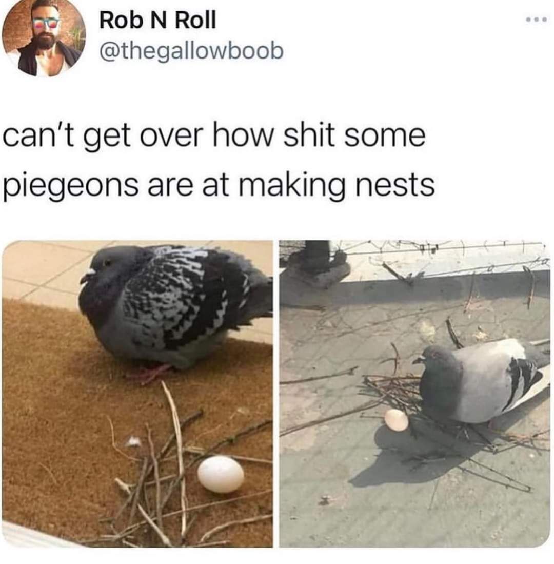 Image of this social media content