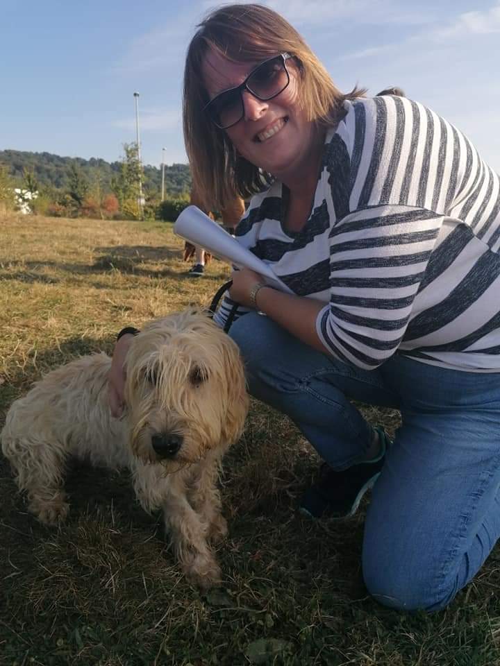 ArchieBall25's tweet photo. It's my Gotcha Day today.  It was 2yrs ago that @ball_helen rescued me from Spain.  I travelled on the Freedom Bus and was very scared. https://t.co/MXh4ElgGeF