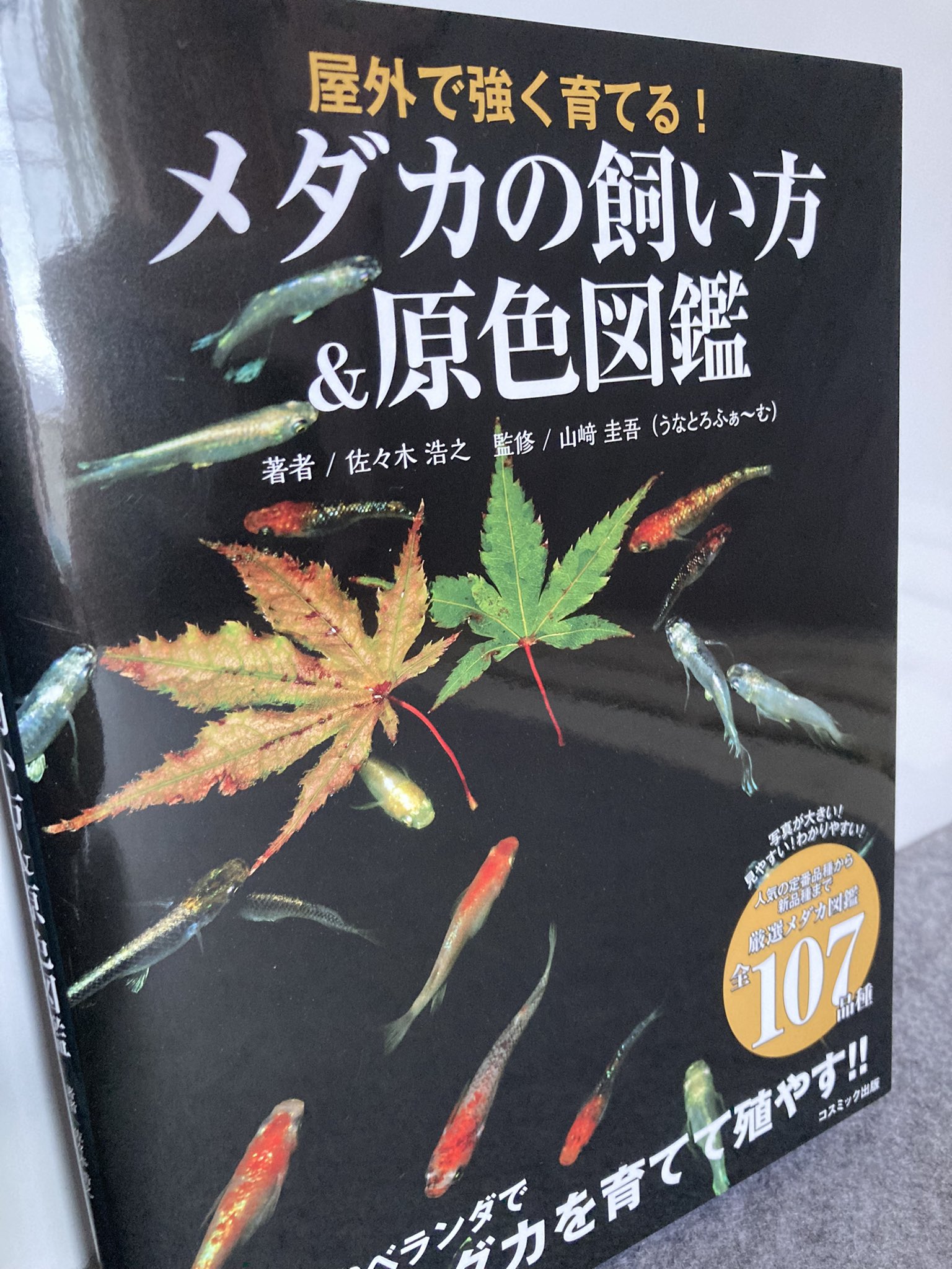 めだかの館 公式 大好評 100年メダカ22発売中 メダカ本新刊紹介 屋外で強く育てる メダカ の飼い方 Amp 原色図鑑 著者 佐々木浩之 監修 山﨑圭吾 うなとろふぁ む めだかの館も撮影協力で掲載されているらしい 書店や通販で買えると思い
