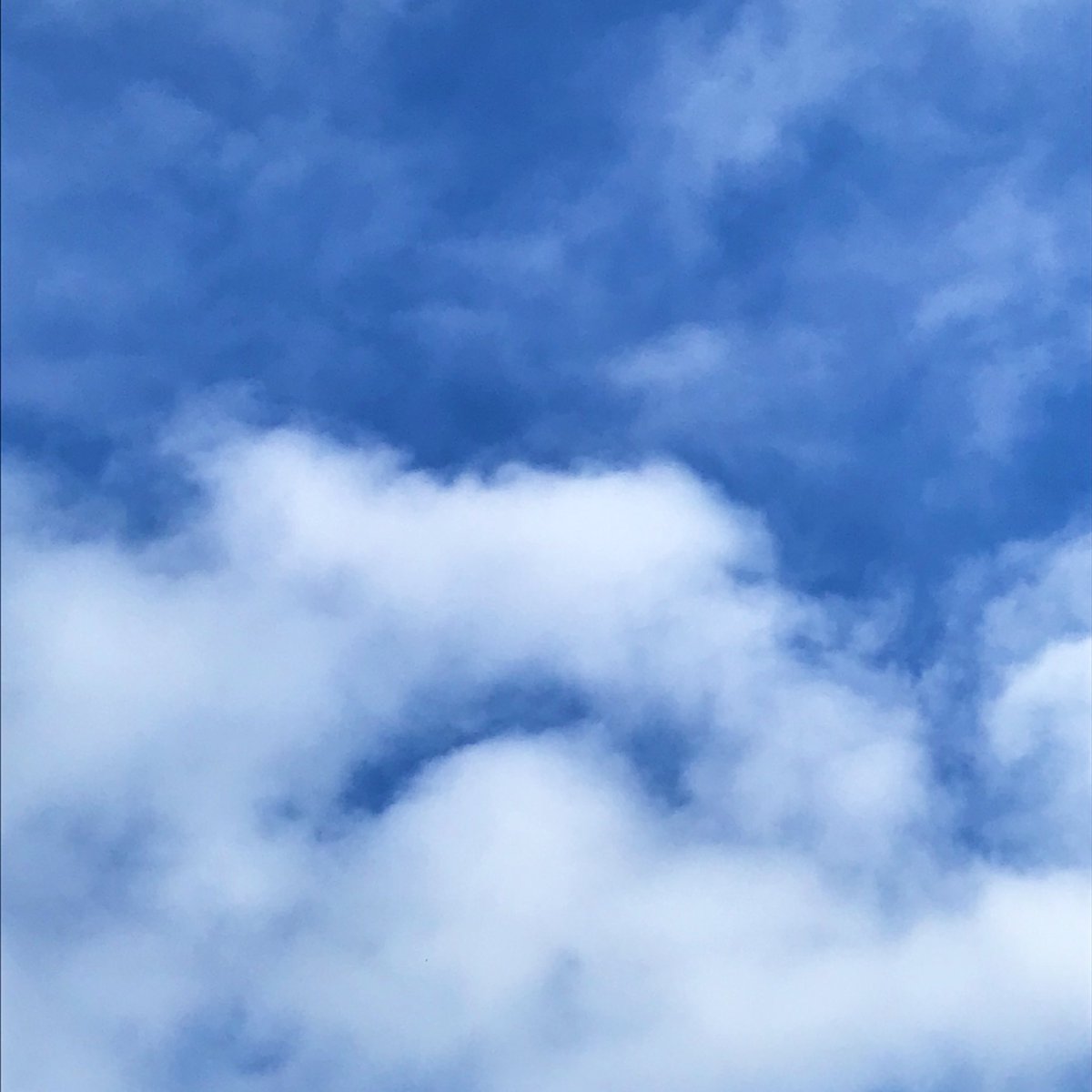 studyloaf's tweet photo. some other photos i took today! https://t.co/OISfXh00cM