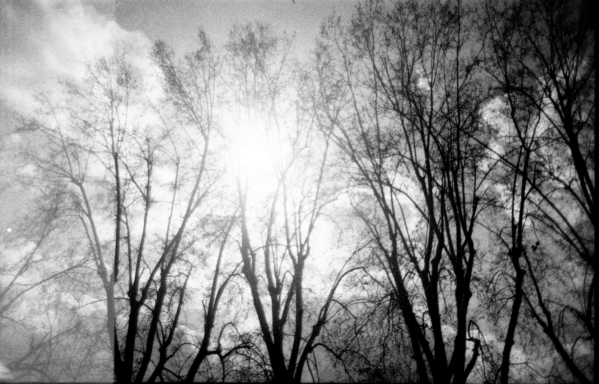 Che dolcezza infantile
nella mattinata tranquilla!
C’è il sole tra le foglie gialle
e i ragni tendono fra i rami
le loro strade di seta.
– Federico García Lorca

2020.12 © Valentina Cinelli ⠀⠀
Nikon FG, Kentmere PAN 100

#autumninrome #lungotevere #analog #filmisnotdead