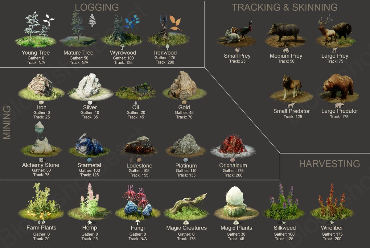 New World Leaks & Info tweet media