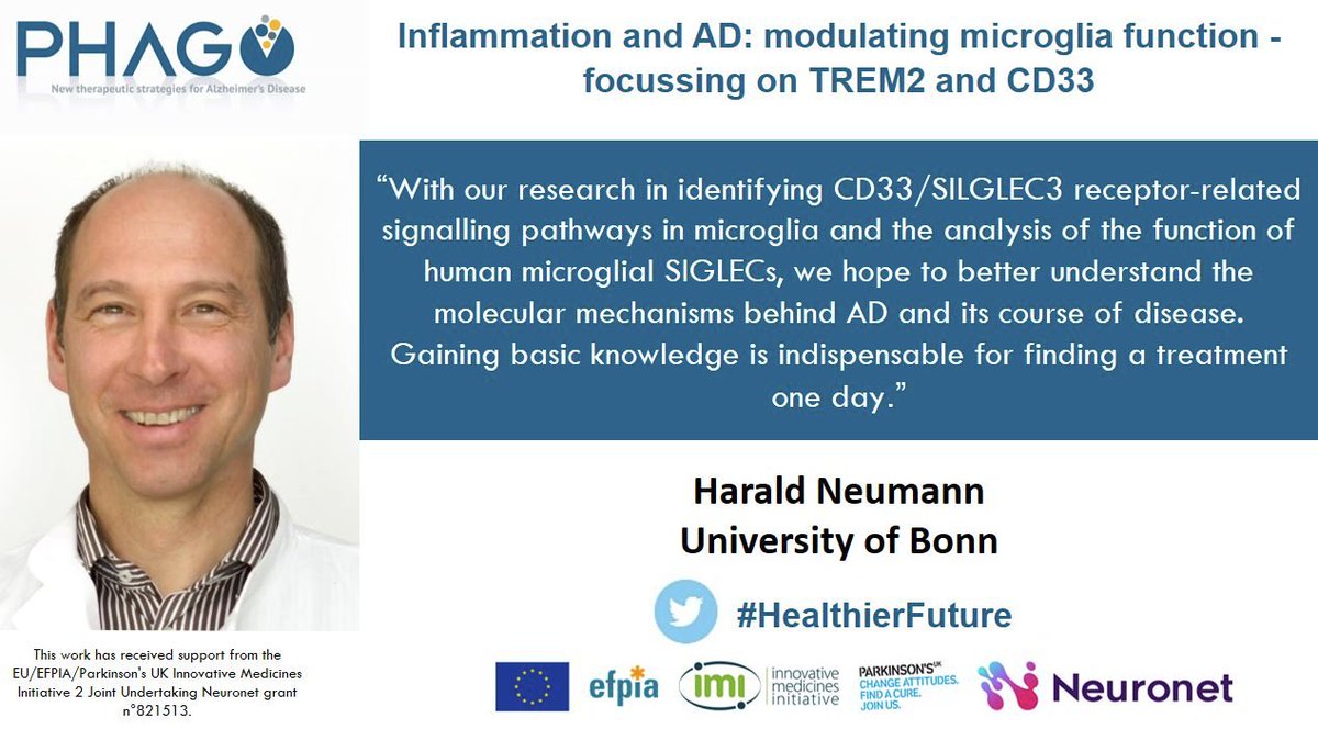 IMI2_NEURONET's tweet photo. #WorldAlzheimersDay 
The @IMI_JU funded @phago_imi project is devoted to the development of immunomodulatory therapies for #Alzheimer’s disease. 

Find out more about this exciting research project here: https://t.co/zFq4SV3XmO https://t.co/WYYbqJ9HTa