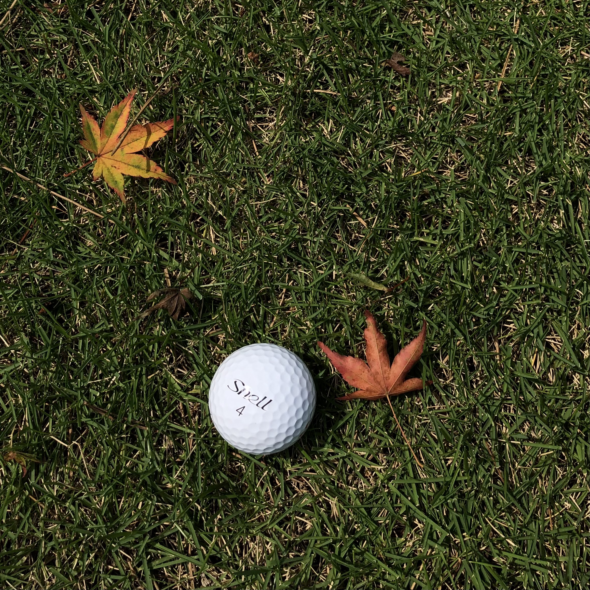 スネルゴルフジャパン Snellgolfjapan Twitter
