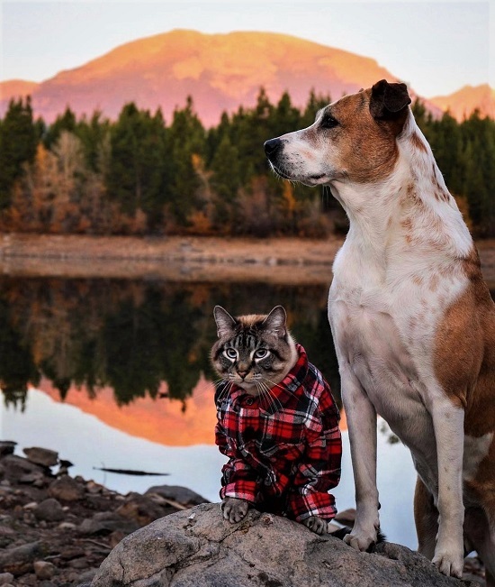 mondo🌐diverso tweet media