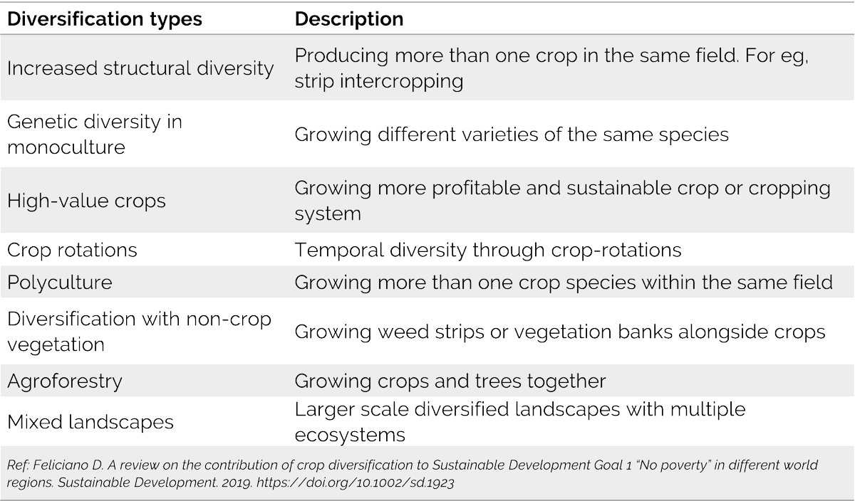 TIGS_India's tweet photo. In Focus: Crop Diversification

#CropDiversification, the practice of adding new crops/cropping systems to a particular farm, is vital for reinforcing agriculture. It can lead to more sustainable production, develop value-chains for minor crops, &amp; provide socio-economic benefits. https://t.co/CX8KH8MA6O