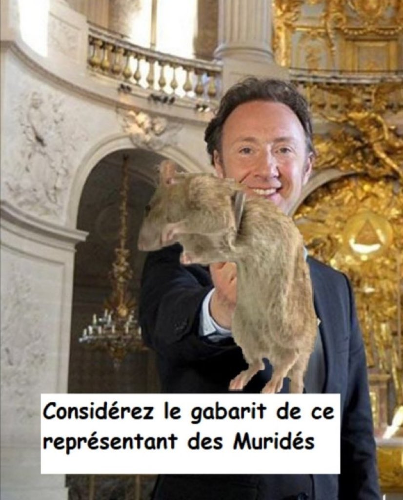 . tweet media