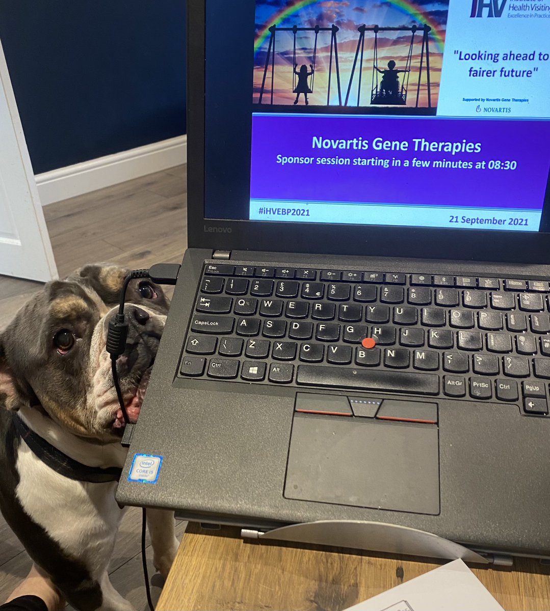 The best thing about virtual conferences is having a table to write on and the dog to keep me company! So looking forward to today’s conference #iHVEBP2021