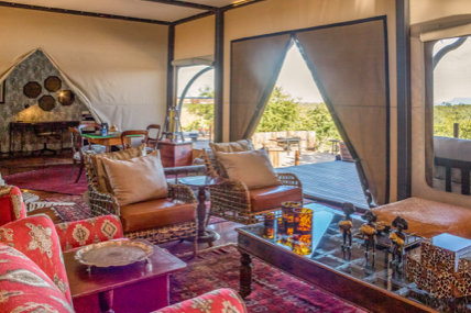 Garonga Safari Company tweet media