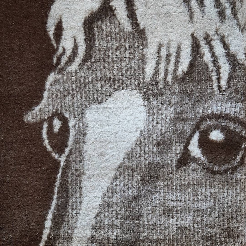 UNIVERSAL_EAR's tweet image. They Shoot Horse, Don&apos;t They? #Quickspace #2000 #krautrock #kitsch #weaving #throw #alltheworldsmusicever instagr.am/p/CUEw5v6I1sZ/