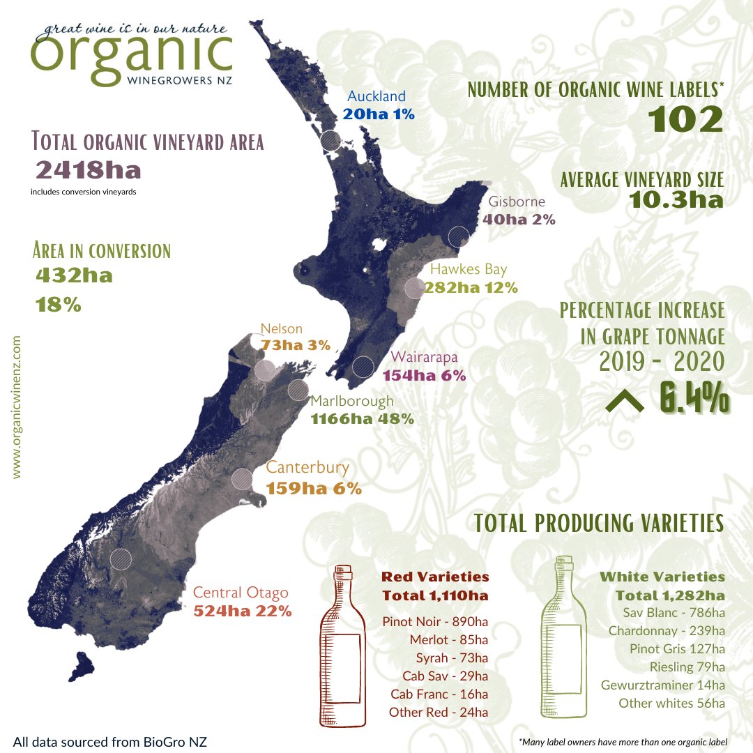 Today marks the first report to be distributed on the organic wine sector in NZ, from@biogronz. They highlight exponential growth over the past 20 yrs.  From the report, OWNZ has developed a 1-pg infographic. To download a copy and the full PR, click on: bit.ly/39nBnaB