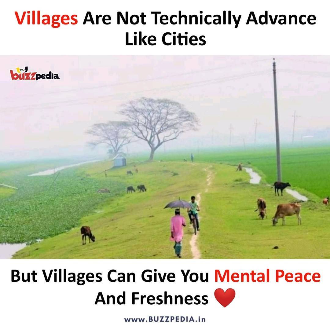 Buzzpedia_in's tweet photo. #villagelife #village https://t.co/1RaEbIPIa3