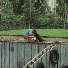 Sempre ao seu lado Kinda foi a última cachorrinha do Ayrton Senna. Ela morava em Angra e sempre quando ele chegava, ficava tão feliz que pulava na água para encontrá-lo. Após a morte do piloto, ela ia todos os dias até o píer, com seu olhar desolado, esperar seu dono voltar.
