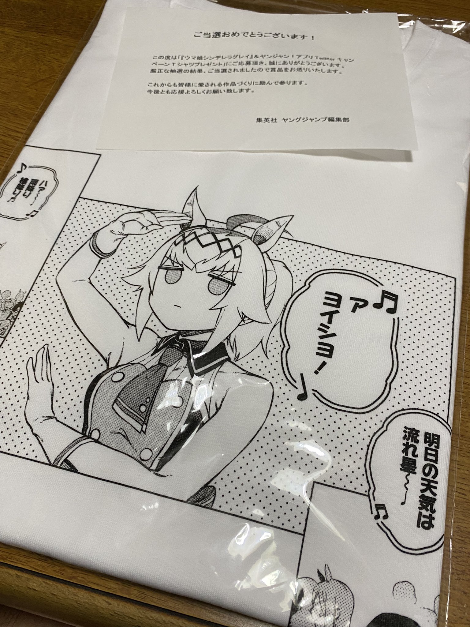 ウマ娘 シンデレラグレイ Twitterキャンペーン当選品 カサマツ音頭Tシャツ ウマ娘 シンデレラグレイ Tシャツ YJ×Twitter 当選品 非売品