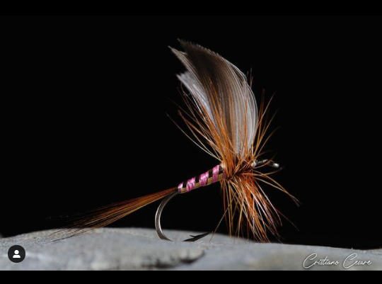 FarmsWhiting's tweet photo. Lady in Pink, a great pattern tied by @cristiano_cesare_flies
Pink Lady #flytying #flytyingporn #flybox #flyboxporn #flyfishing #dryfly #dryflytying #dryflyfishing #ephemera #catskillflyfishing #catskillflytyersguild #troutflies #flytyingart #catskillfly #whitingfarms https://t.co/niFivzv6Nt
