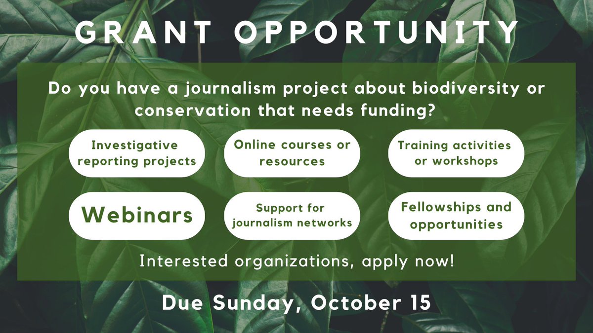 FUNDING OPPORTUNITY: We're seeking proposals from media outlets, NGOs, academic institutions & other interested orgs on projects that raise awareness of threats to biodiversity & conservation solutions. Apply by Oct. 15 for a chance to get funded: earthjournalism.net/opportunities/…