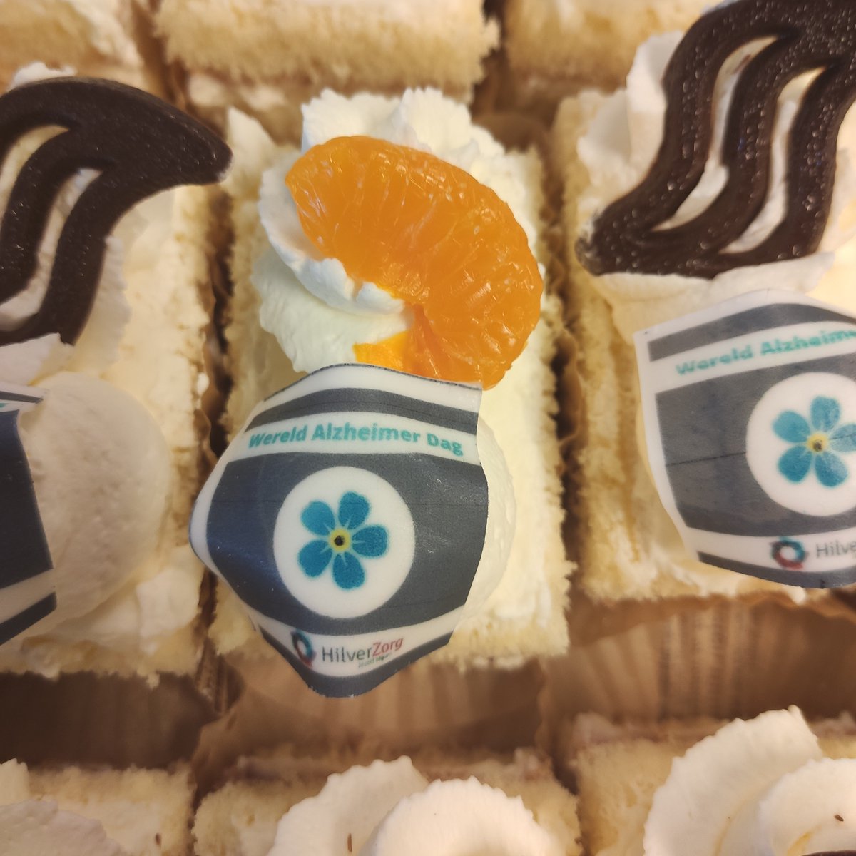 HilverZorg tweet media