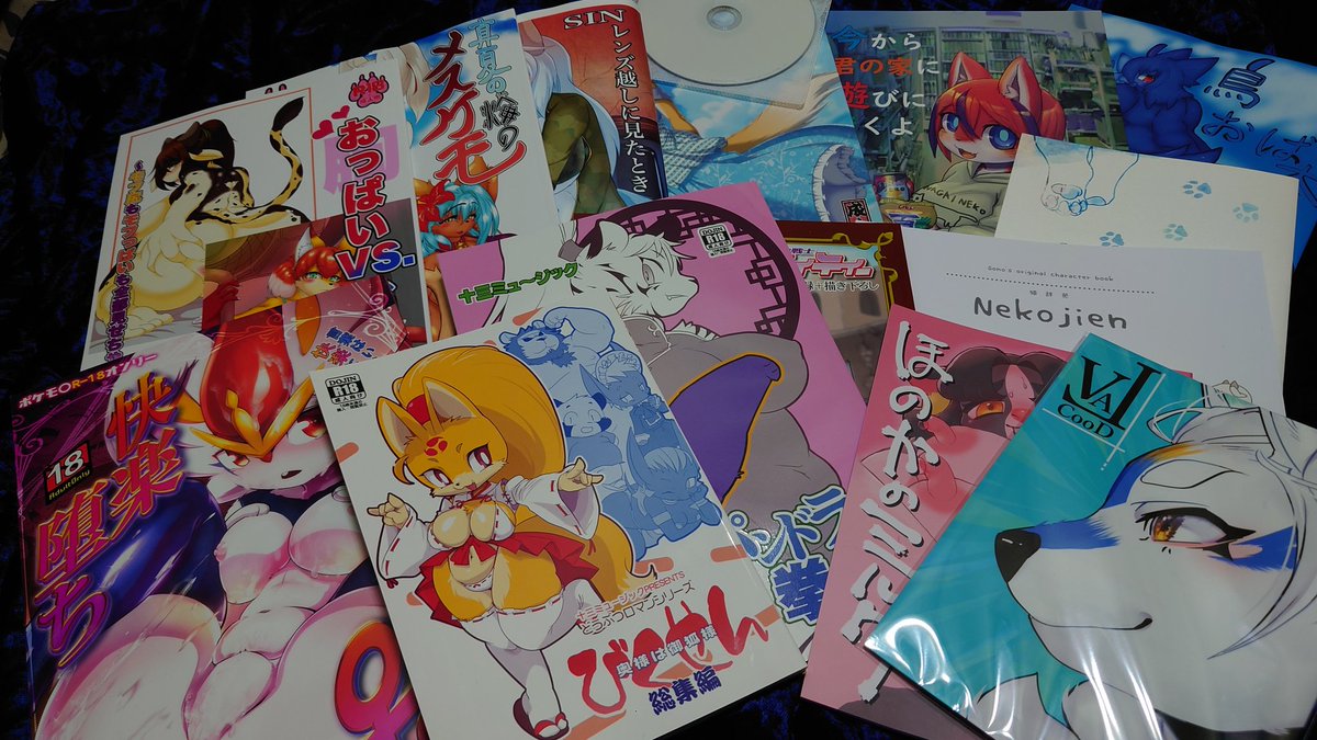 けもケット10戦利品ー!
買ったり頂いたりありがとうございますー! 