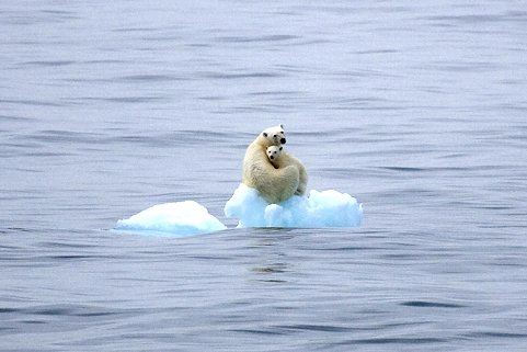 Indicadores de Cambio Climático Oceánico

"¿Cuando se escriba la historia de esta época se nos recordará como la generación que dio la espalda en un momento de crisis global o como aquella que hizo lo correcto?" (NM)

Comparto mi artículo en GlobalChange
➡️frontiersin.org/article/10.338…