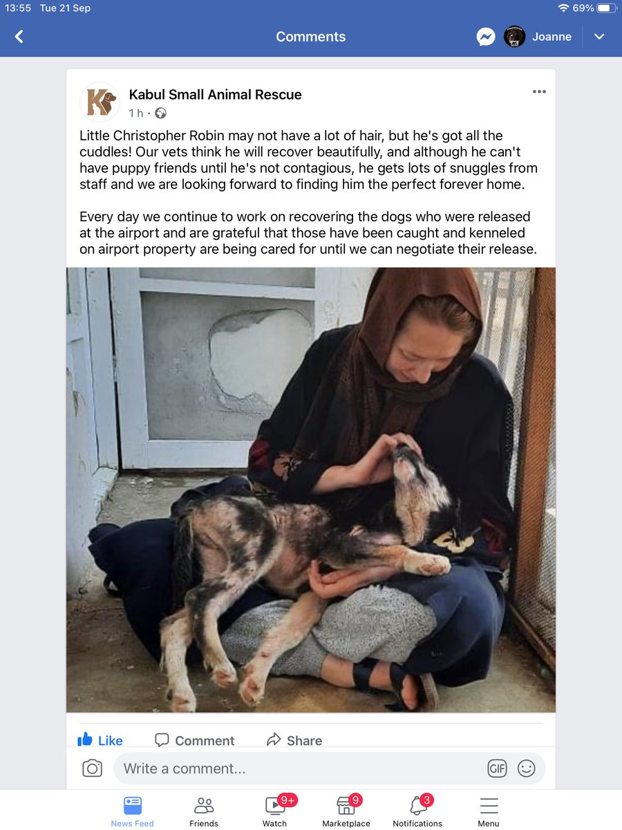 Lovely update on Facebook from #KSAR #kabulSmallAnimalRescue #operationhercules #CharlotteMaxwellJones Tue 21 Sept 2021