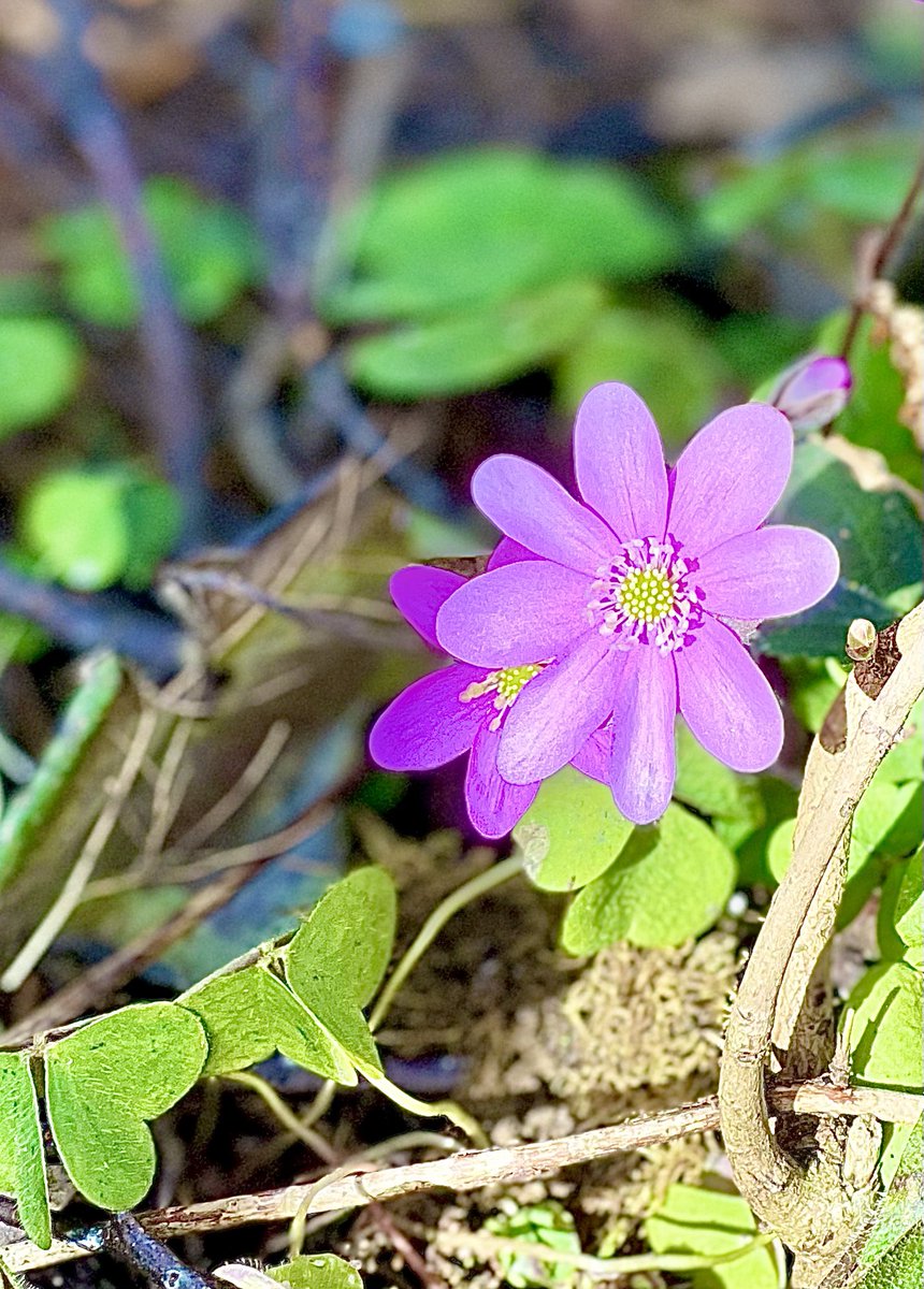 Beautiful Tuesday 💗💗💗