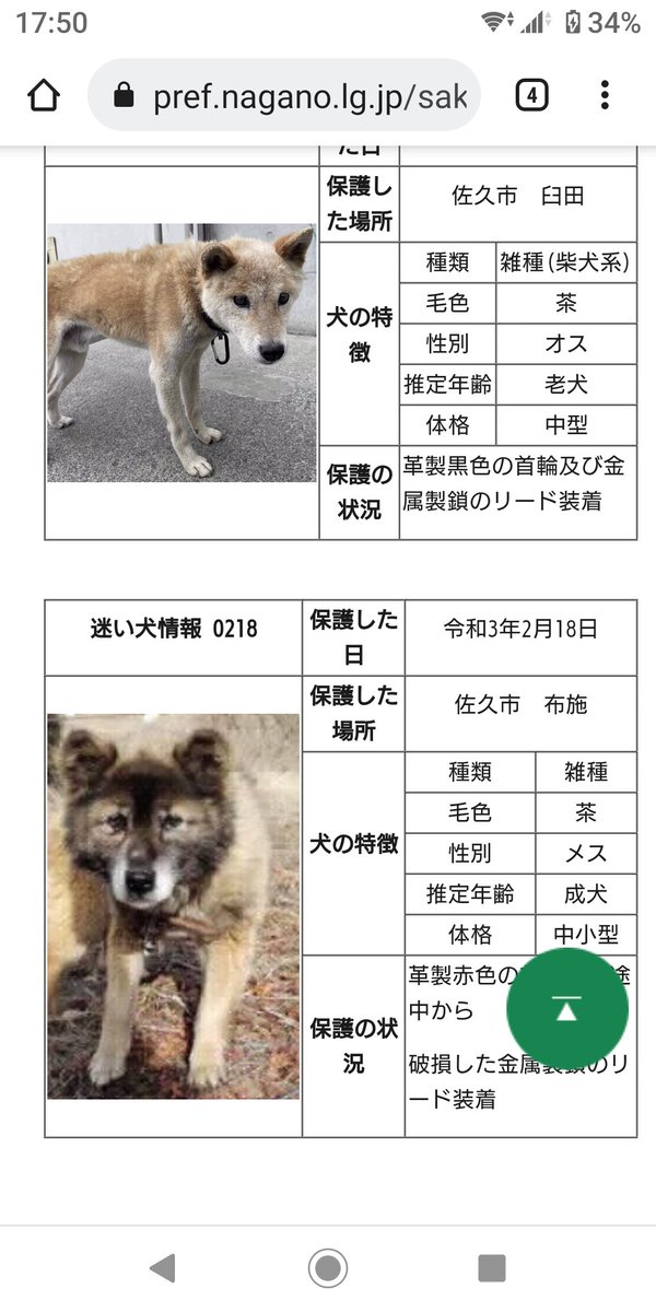 動物愛護週間にこの失態 福岡県の動物愛護センターはいかれているとしか言えない メールしても無視さ 動物迷子連絡協議会 完無料ボラ 通称 迷子連