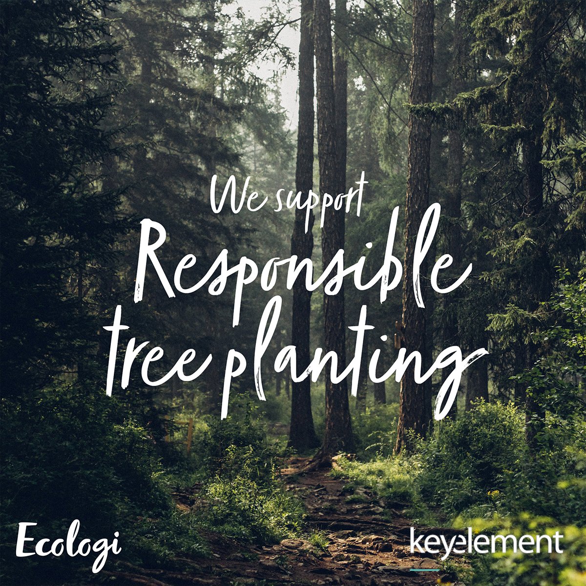 Key_Element's tweet image. We only have one planet. Let’s take care of it.

In partnership with Ecologi, we are working to bring thousands of new trees to developing parts of the world in an effort to reduce our carbon impact.

ecologi.com/keyelement

#sustainability #ethicalwebdevelopment #sustainableweb