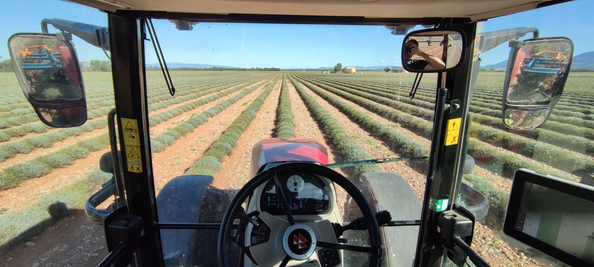 VernetDenis's tweet photo. De retour de vacances on reprend les bonnes habitudes avec jazz en co-pilote et c'est parti pour les semis des essais de couverts végétaux en lavandin avec le #CRIEPPAM 🌱👏😜 plusieurs objectifs de résultats : concurrences sur les adventices, MO et lutte contre les ravageurs 😎 https://t.co/9Q6IVDUuxl