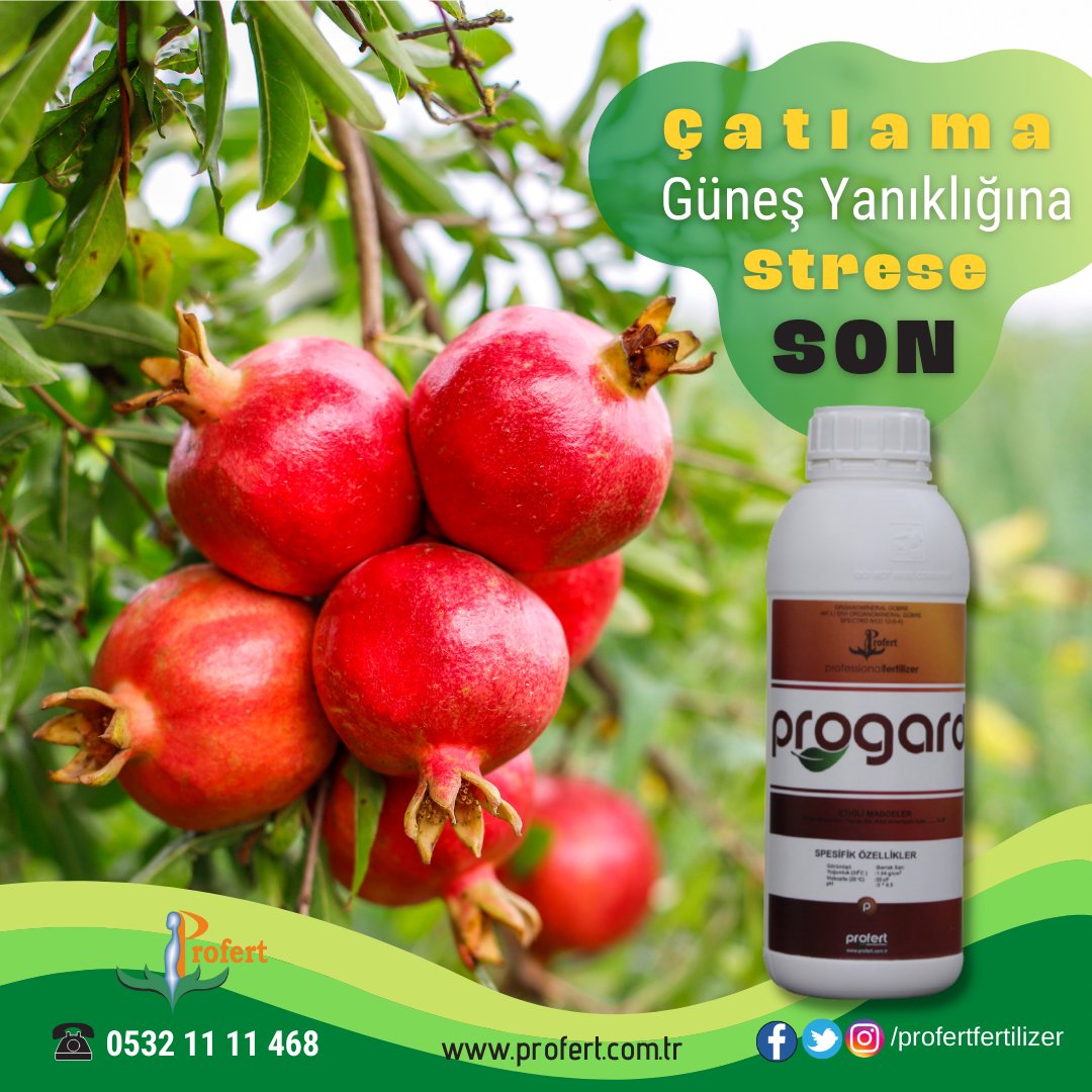 Profertgubre's tweet photo. Nar'da Progard kullan; Çatlama, Güneş Yanıklığına, Strese SON ver.
#profert #profertgübre #profertfertilizer #nar #çatlama #güneşyanığı #stres #Progard #AKPartiGiderseNeOlacak #ValidebağKorusu #ValidebağaDokunma #üsküdar #650Lirayla #salı #çöktü #AppleEvent #dersler30dakika https://t.co/32RBnLuyaY