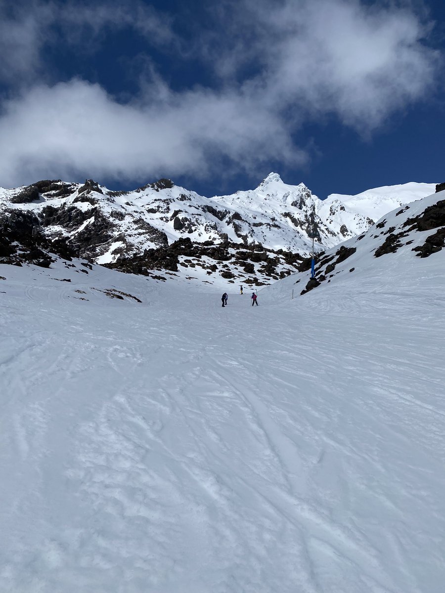 Emily Haynes tweet media