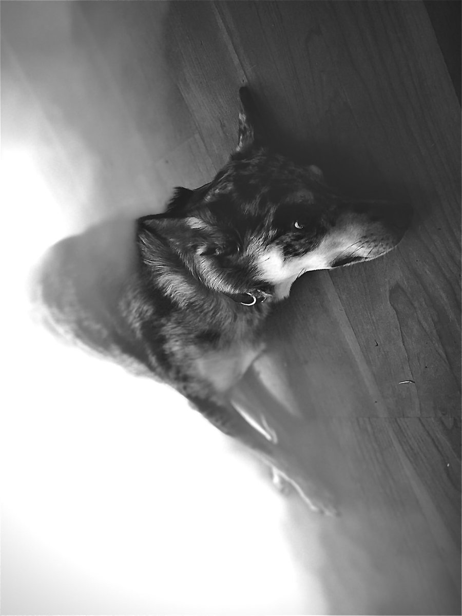 Abc Defg Hi JK tweet media