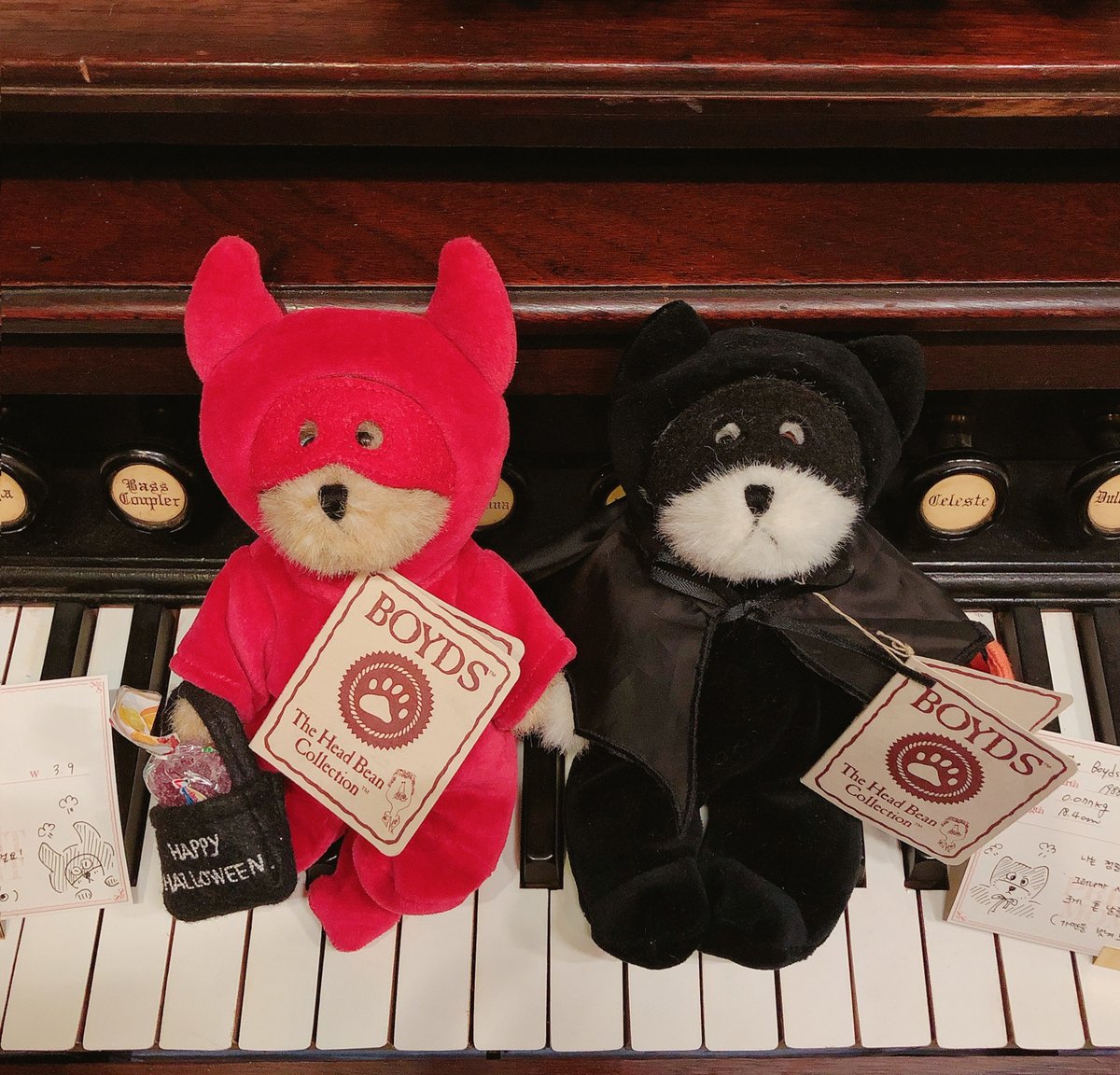 남친한테 추석 선물 받았당 ₍ᐢ.ˬ.ᐢ₎ 히히
부활절 토끼가 진짜 너무 귀여움ㅠㅠ