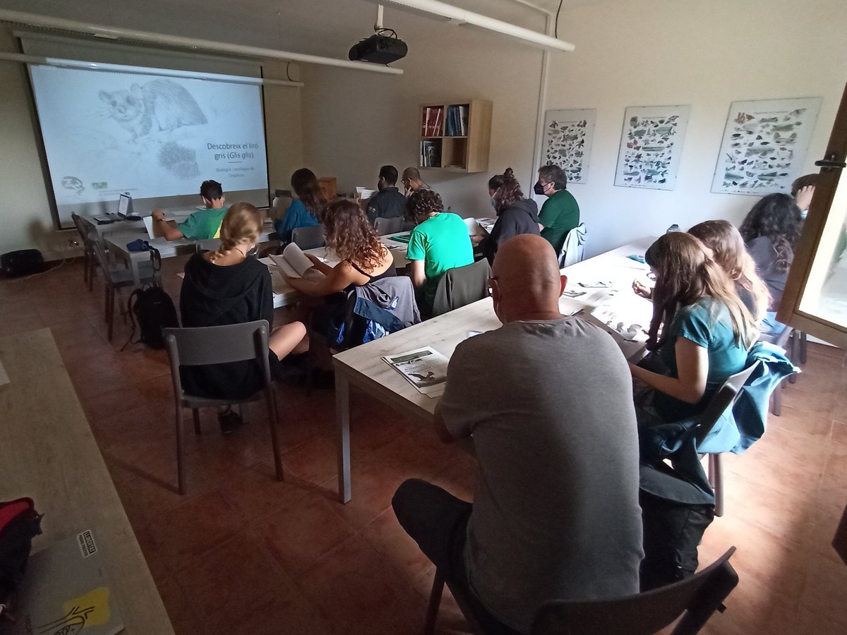 ProjecteLiro's tweet image. 1⃣ Aprofitant les instal·lacions de l&apos;Estació Biològica de #Fontmartina, el dissabte es va fer la part més teòrica on es va parlar de la biologia i ecologia del #liró gris, les tècniques i materials emprats pel seu estudi i com participar en el seu seguiment dins el #ProjecteLiró