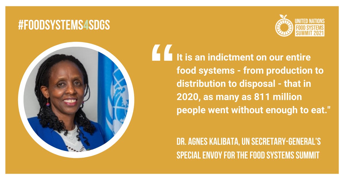 "It is an indictment on our entire #FoodSystems — from production to distribution &amp; disposal — that in 2020, as many as 811m people went w/o enough to eat."

It is time to ACT for #SDG2 – join us with <a href="/Agnes_Kalibata/">Agnes M. Kalibata</a> at #UNFSS2021!

#FoodSystems4SDGs

▶️ bit.ly/unfss-reg