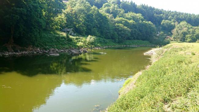 An algal bloom on the River Wye - fed by the phosphate-rich 💩 of 20m chickens. In 2 years the river’s ecosystem has been strangled by this horrific pollution. Today we call on the giant agribusiness <a href="/thenoblefoods/">Noble Foods</a> &amp; <a href="/AvaraFoods/">AvaraFoods</a> to clean up their mess
riveractionuk.com/news/campaigne…