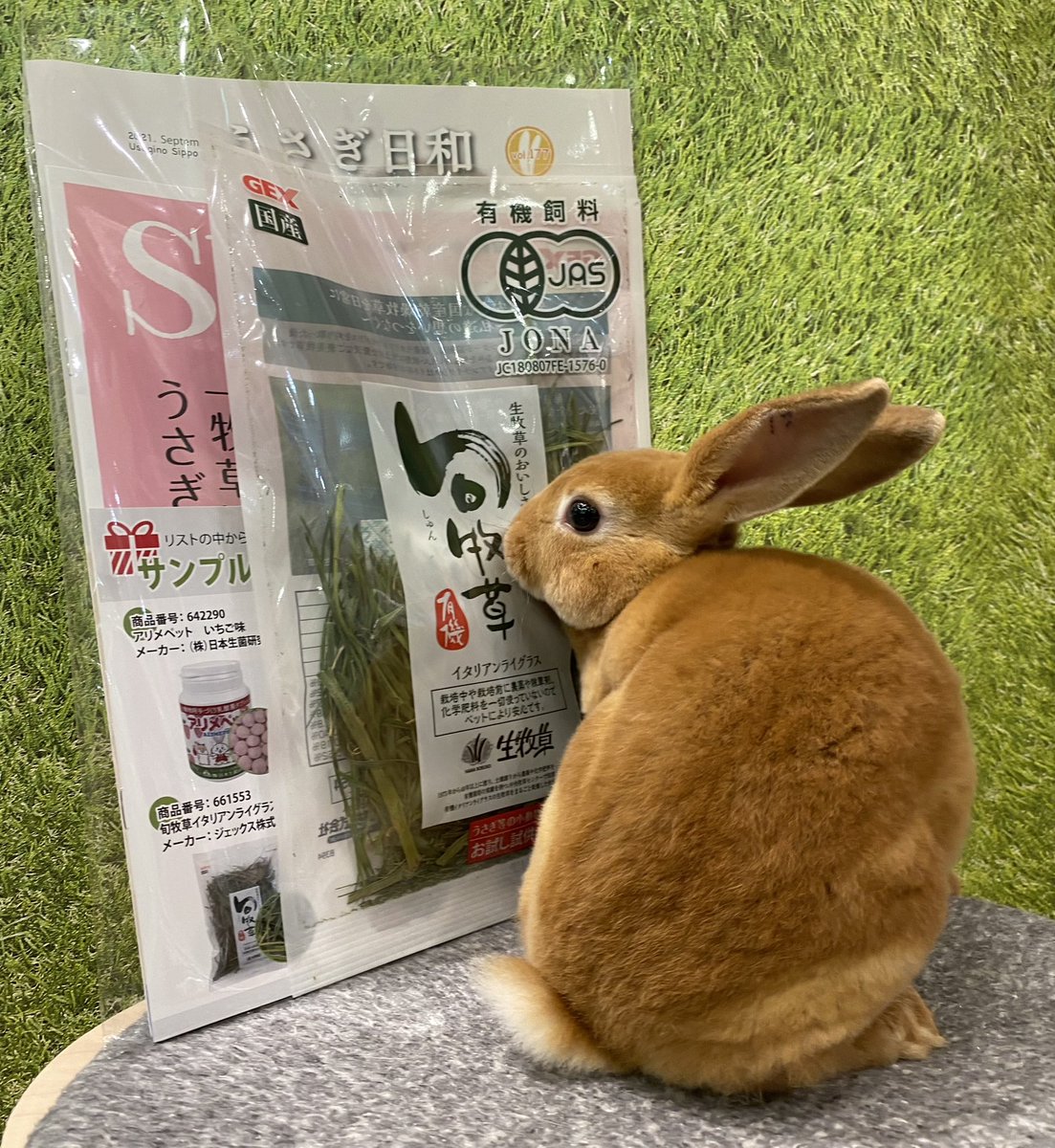 Top Tweets For 店長くんの日セール Instalker