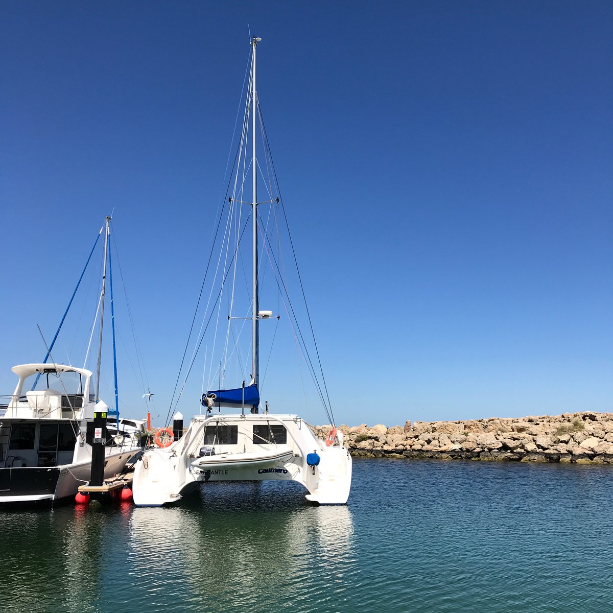 jkrmpp's tweet image. It’s looking good for an extended Blue Mussel spawning season to get another week (or two?) of research collections 🤞🏻