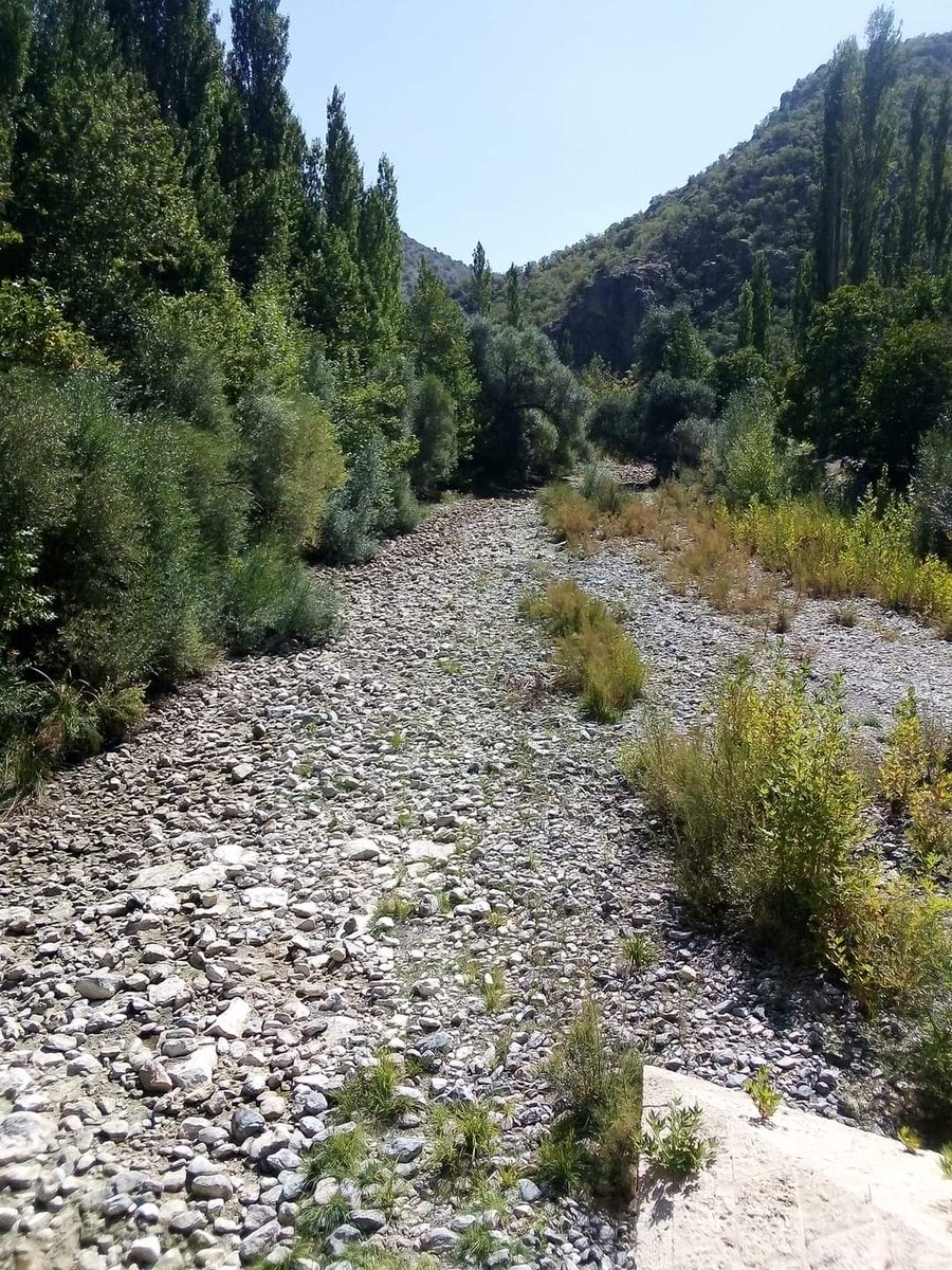 cihatbehriz's tweet photo. Konya/Taşkent de Afşar barajına su tutulmaya başlandı dereye su verilmiyor balıklar ölüyor #çöktü 
#carsaf #MansurYavas #15Temmuz #BirSeyYapmalı #hakkımıhelaletmiyorum #unutmayacağım #650Lirayla https://t.co/nw2uG8JSrd