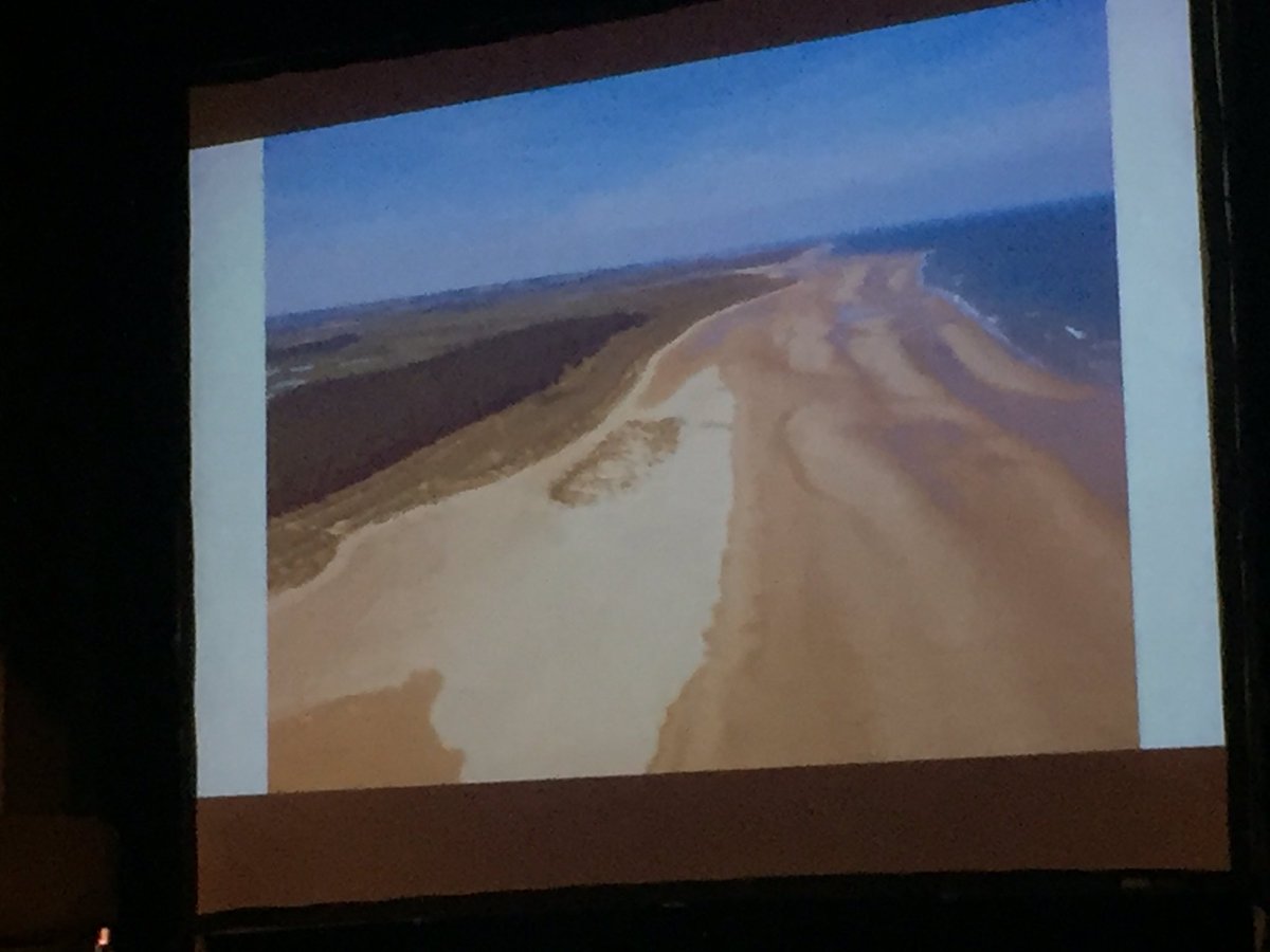 Now we are learning about the Holkham sand dunes at @HolkhamEstate #endureproject