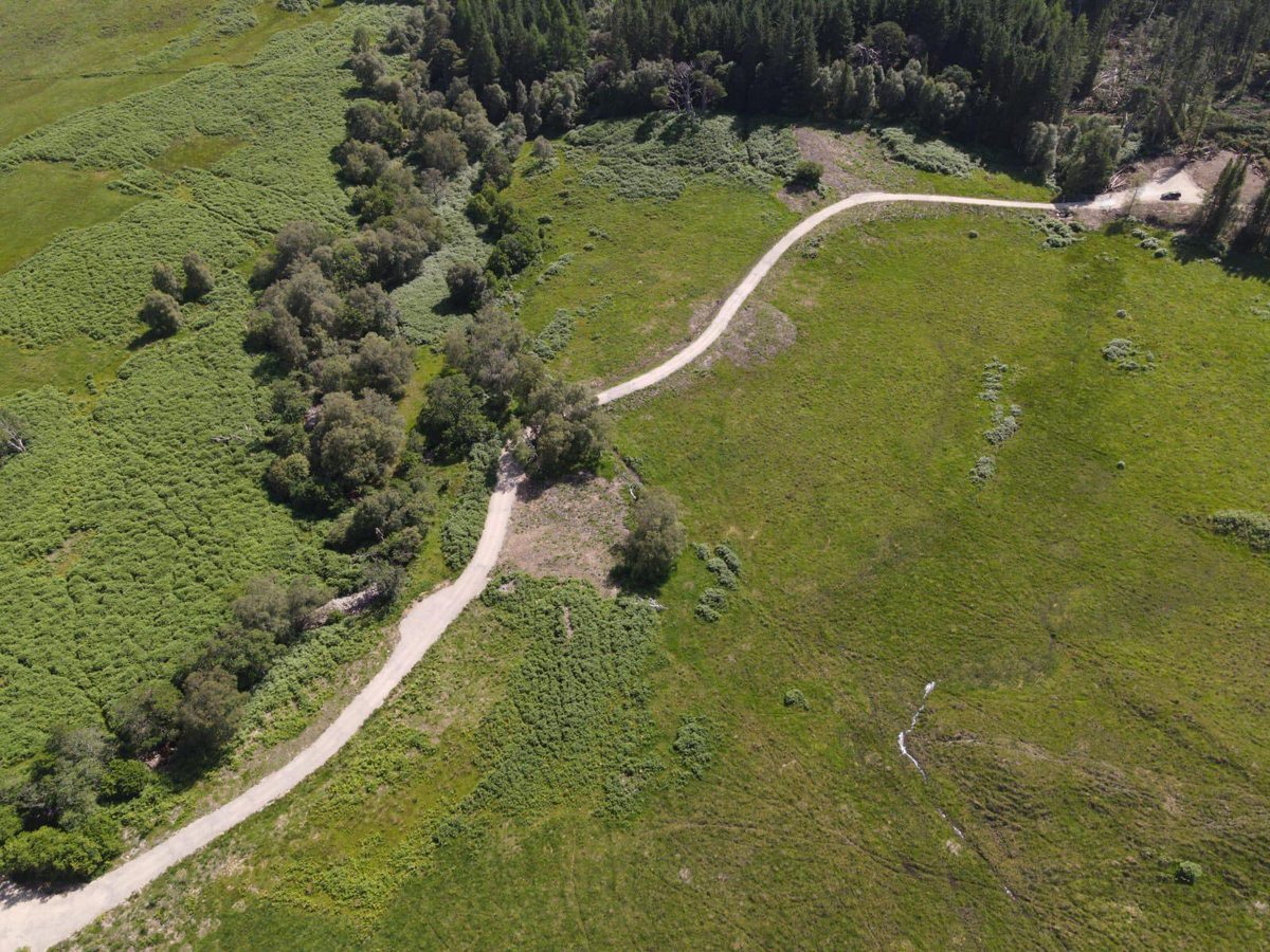 McGowan_Group's tweet image. Earlier this year, McGowan were appointed by @WoodlandTrust to deliver new and improved forestry road infrastructure at Loch Arkaig… lnkd.in/g9zEQYu2

#AccessInfrastructure #NaturallyDifferent