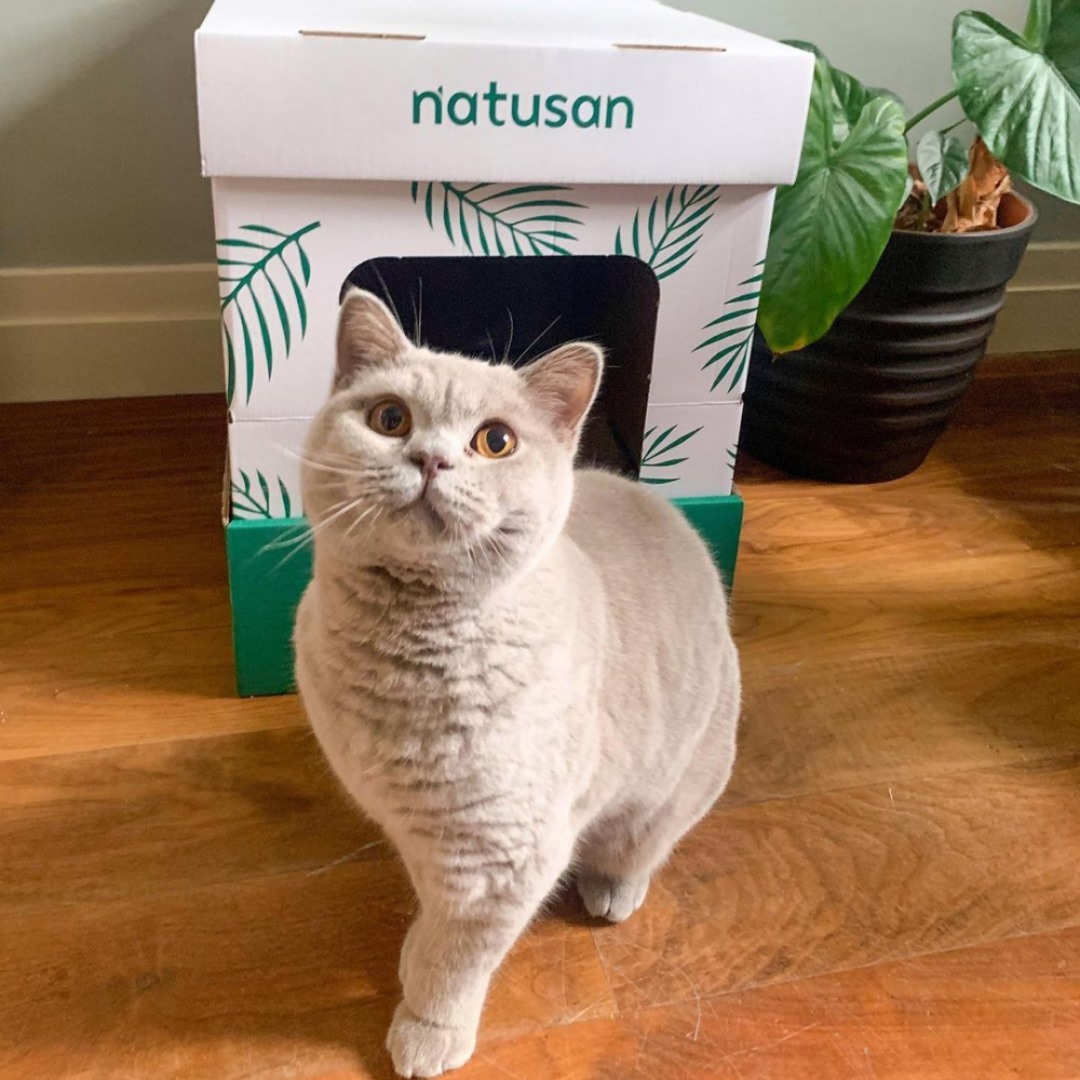 We’ve got good mews for you!
Our friends at @NatusanUK have given us a deal for our followers - get a 10L bag of their cat litter for just £5 and they will also donate £10 to Yorkshire Cat Rescue for each bag sold!

Use code: YCR5 at checkout!

Shop here: ow.ly/1WmU50EPna0