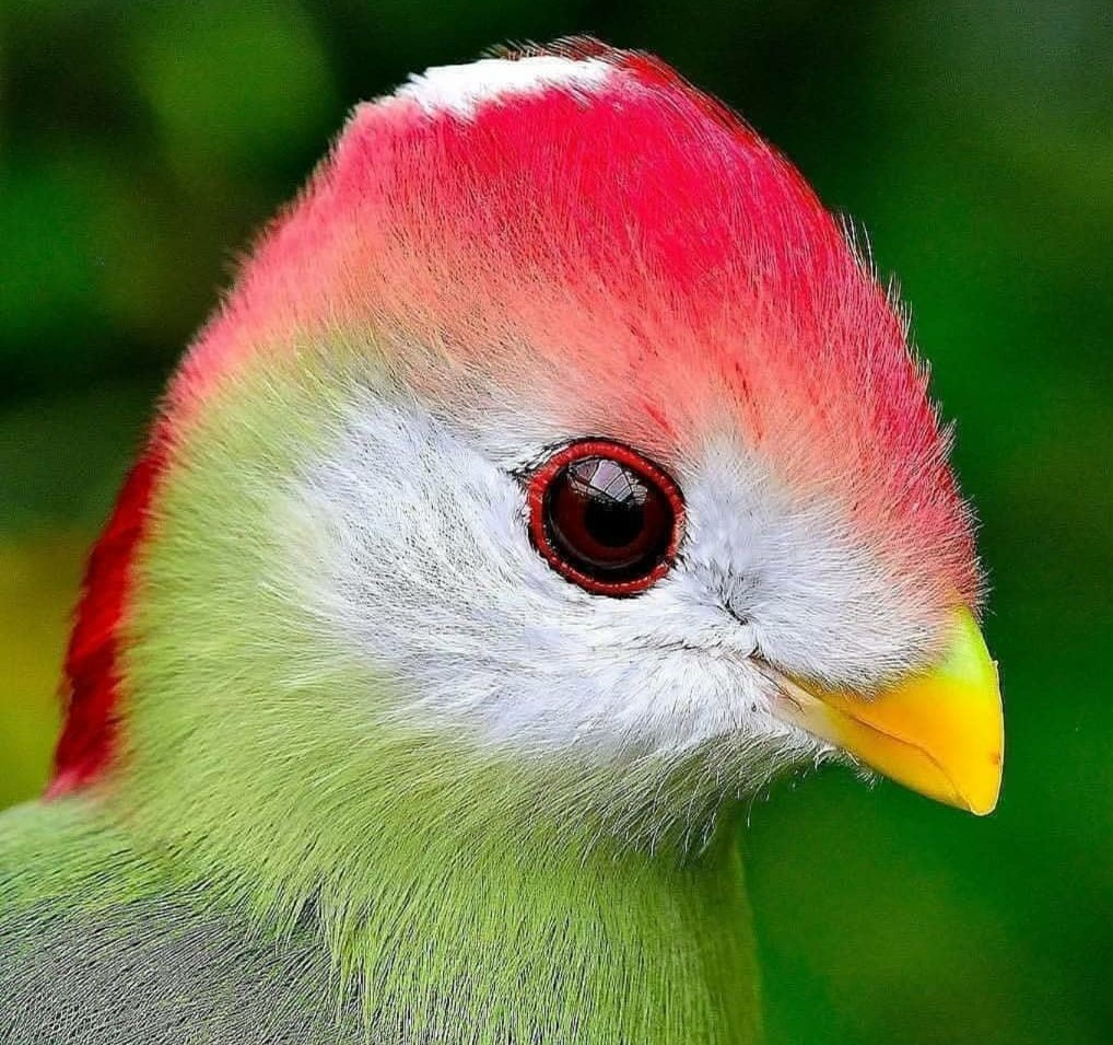 maruscabondini's tweet photo. Happy day dear Twitter Friends. #LifeIsColor 🤗😷 https://t.co/242j3ctppY