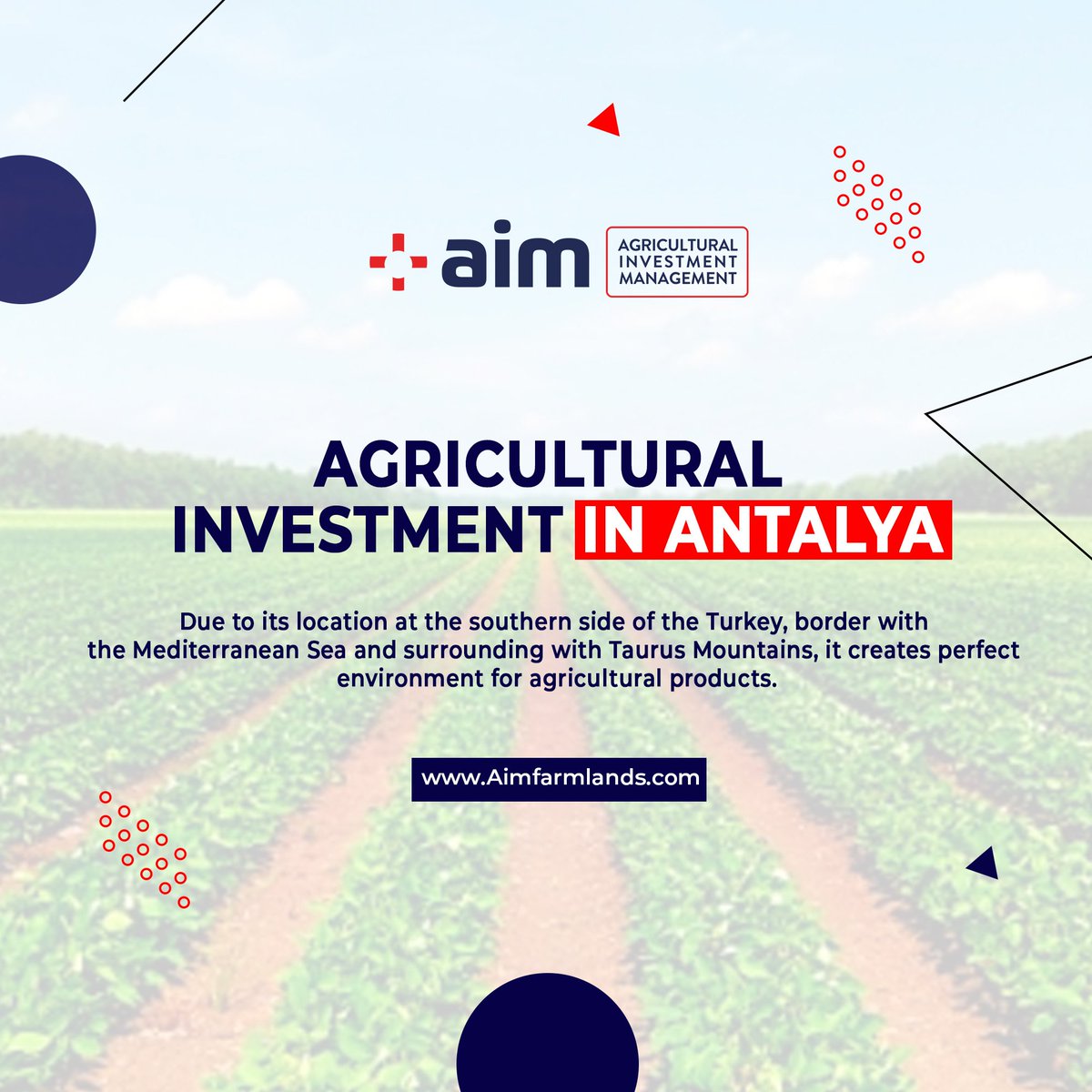 Aimgreenhouse's tweet image. Agriculture is civilization
#investmentinginantalya #landforfarming #investinagriculturalland #turkey #farmers #aimfarmlnads #turkeylandinvestment #farminglife
.
.
🌐: aimfarmlands.com
📩: info@aimfarmlands.com
☎️: 0090 216 515 50 15