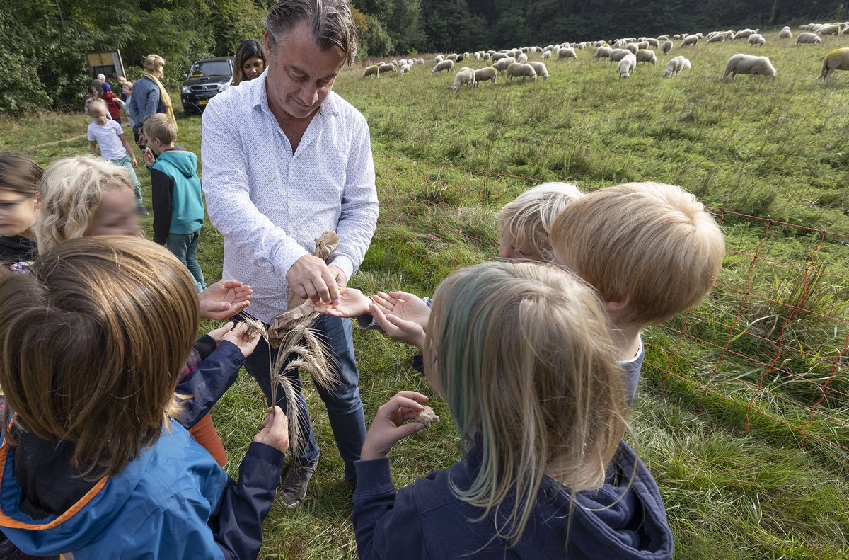 Hier doet #GraanGeluk het om, kinderen lokaal weer in verbinding brengen met ons landschap, ons voedsel en de natuur. Ons eigen GraanGelukbrood van <a href="/tomvanotterloo/">Tom van Otterloo</a> het #Veluws Tarwerogge van deze Wageningse eco-akker. <a href="/Pieter_Grinwis/">Pieter Grinwis</a> <a href="/LauraBromet/">Laura Bromet 🍀🕊</a> <a href="/carladikfaber/">Carla Dik-Faber</a> <a href="/JacoGeurts/">Jaco Geurts</a>