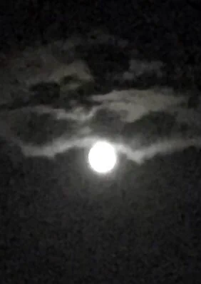 今夜は中秋の名月なのですが、ワタシのiPhone 7ではヴァンパイアが出てきそうな不吉な月にしか撮れません 柴田亜美#柴田亜美 #中秋の名月 #十五夜 #南国少年パプワくん #PAPUWA 